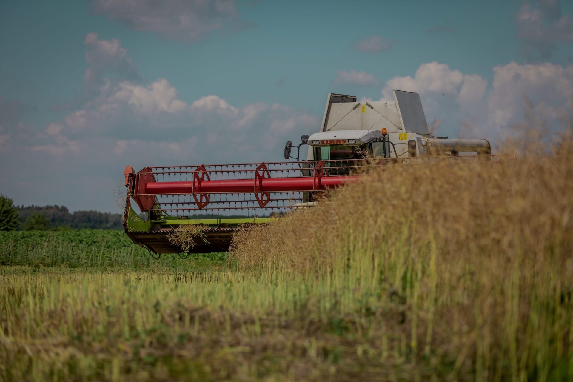 Seeding Opportunity